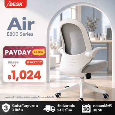iDesk Air E800 เก้าอี้เพื่อสุขภาพ Ergonomic Chair เก้าอี้สำนักงาน พนักพิงตาข่าย ระบายอากาศ ปวดหลัง นั่งนาน สีเทา