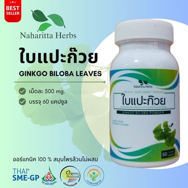 ใบแปะก๊วย Ginkgo biloba leaves 100% 60cap. ส่งไว คุณภาพดี