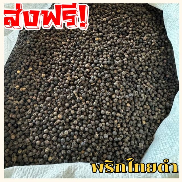 ส่งฟรี!!  พริกไทยเม็ดดำ 1กิโลกรัม พริกไทย พริกไทยดำ เครื่องเ