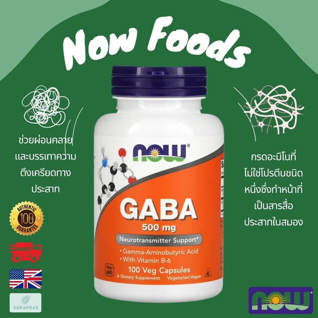 พร้อมส่ง NOW Foods GABA 500 mg 100 Veg Capsules