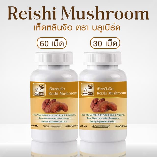 เห็ดหลินจือ Reishi Mushroom ตรา บลูเบิร์ด ขนาด 600 มิลลิกรัม