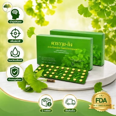 2 กล่อง สารสกัดจากใบแปะก๊วย Y-gink ใบแปะก๊วย สินค้าคุณภาพ กล่องละ 30 แผ่น