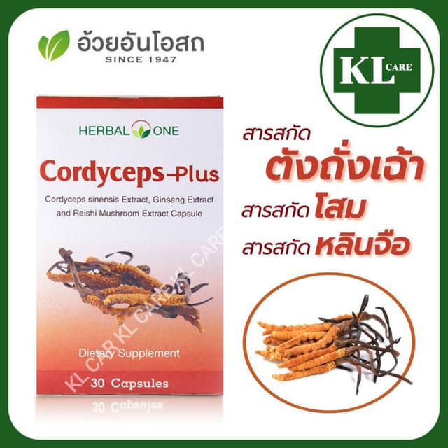 Cordyceps ตังถั่งเฉ้า พลัส ถั่งเช่าสกัด ผสมโสม และ เห็ดหลินจ