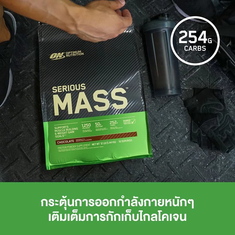 Optimum Nutrition Serious Mass Protein 6 Lbs https://lnwchill.com