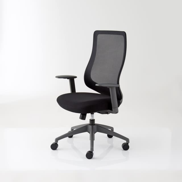 Modernform เก้าอี้สำนักงาน รุ่น Series16 Value เก้าอี้สีดำ พนักพิงกลาง เฟรมเทา ไม่มีLUMBAR เบาะหุ้มผ้าสีดำ ตาข่ายสีดำ ระบายอากาศดีเยี่ยม