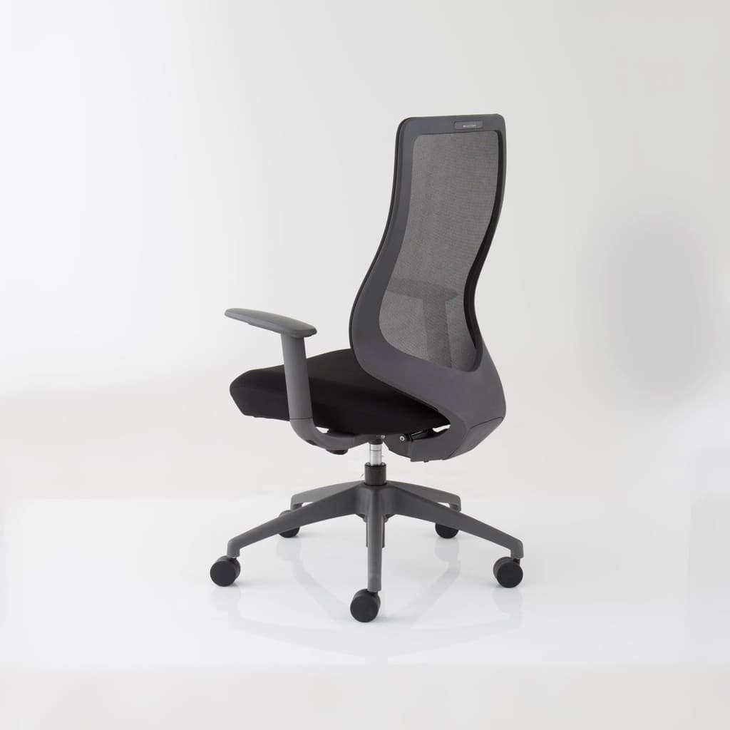 Modernform เก้าอี้สำนักงาน รุ่น Series16 Value เก้าอี้สีดำ พนักพิงกลาง เฟรมเทา ไม่มีLUMBAR เบาะหุ้มผ้าสีดำ ตาข่ายสีดำ ระบายอากาศดีเยี่ยม https://lnwchill.com