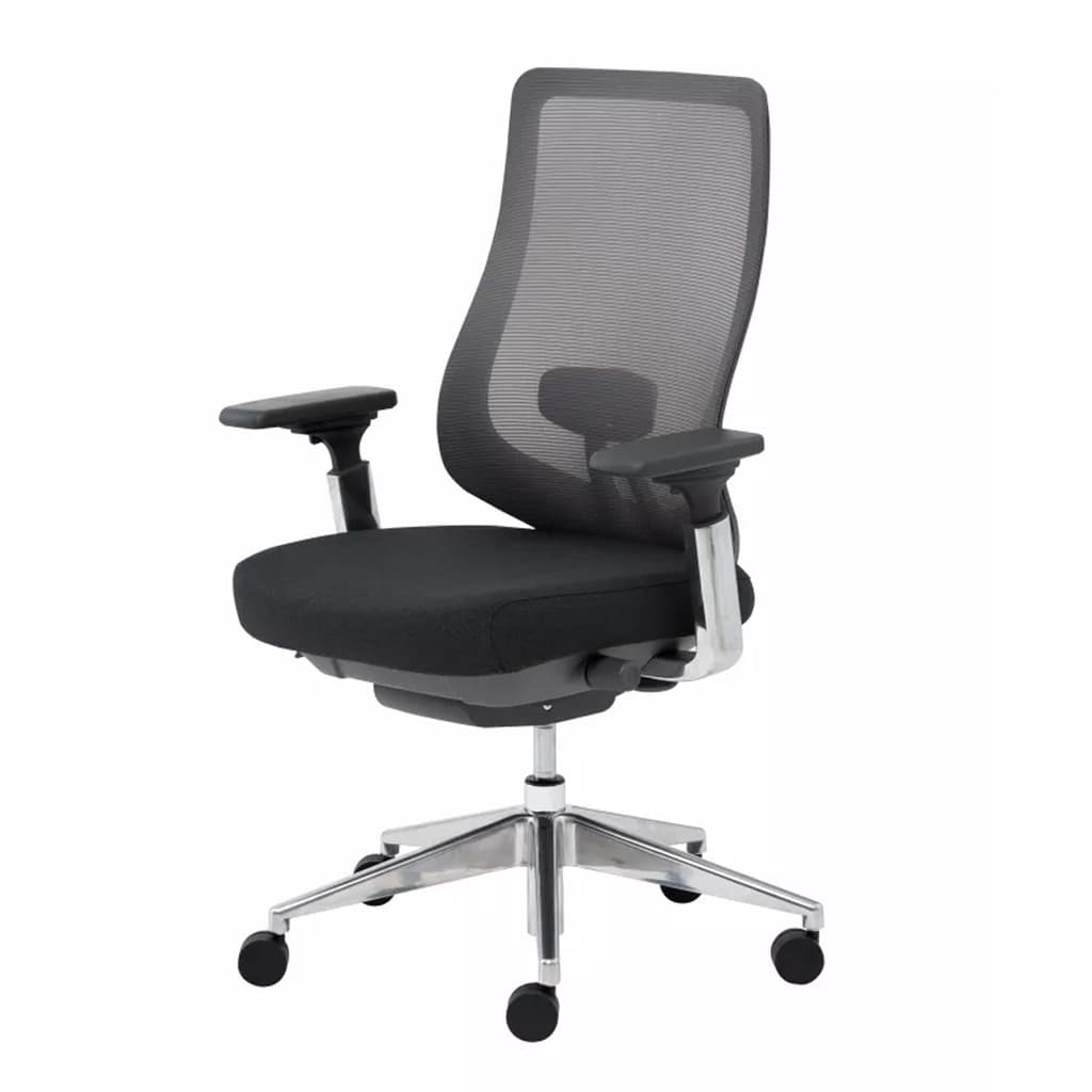 Modernform เก้าอี้เพื่อสุขภาพ รุ่น Series16 Premium เก้าอี้สีดำ พนักพิงกลาง เท้าแขน 4D เบาะหุ้มผ้า พนักพิงตาข่าย ขาอลูมิเนียม Ergonomic ระบายอากาศดีเยี่ยม https://lnwchill.com