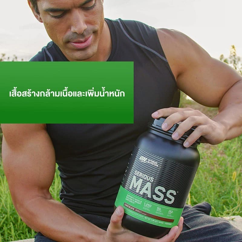 Optimum Nutrition Serious Mass Protein 6 Lbs https://lnwchill.com