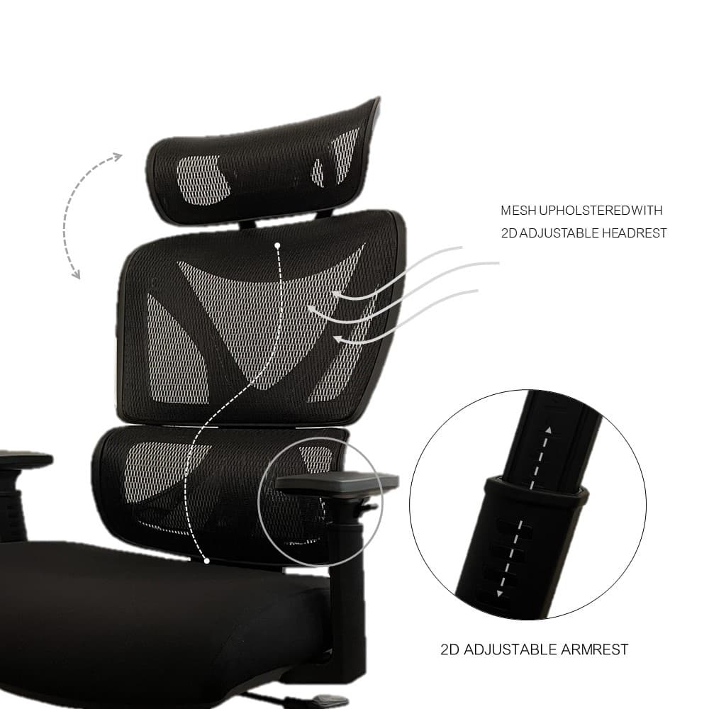 INDEX LIVING MALL เก้าอี้สำนักงาน เก้าอี้ทำงานเพื่อสุขภาพ  Ergonomic ระบายอากาศดีเยี่ยม รุ่น X-GONOMIC สีดำ เก้าอี้สีดำ พนักพิง S-Curve รองรับน้ำหนักได้สูงสุด 120 กก. https://lnwchill.com