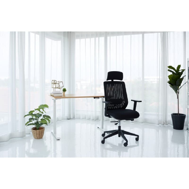 FURRADEC รุ่น Flex เก้าอี้สุขภาพ Ergonomic สีดำ พนักพิงผ้าตาข่าย Elastic Mesh ปรับระดับพนักพิงศีรษะและแขนได้ รองรับน้ำหนัก 113 กก ออกแบบมาเพื่อการทำงานยาวนาน https://lnwchill.com