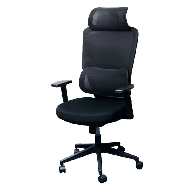 FURRADEC รุ่น Daily เก้าอี้เพื่อสุขภาพ สีดำ ปรับระดับศีรษะและแขนได้ รองรับสรีระแบบ Ergonomic ระบายอากาศดีเยี่ยม นั่งทำงานนานไม่ปวดเมื่อย https://lnwchill.com