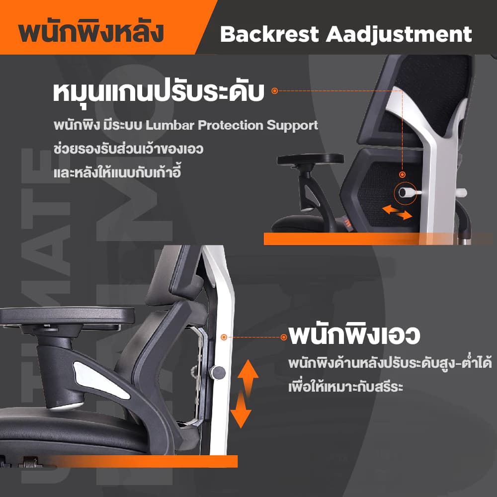 Ergotrend เก้าอี้เพื่อสุขภาพ เออร์โกเทรน รุ่น Ultimate Malmo เก้าอี้สีดำ ระบายอากาศดีเยี่ยม นุ่มสบาย ตามหลักสรีระศาสตร์ Ergonomic เก้าอี้พนักพิงสูง ลดอาการปวดเมื่อย เกรดคุณภาพ https://lnwchill.com