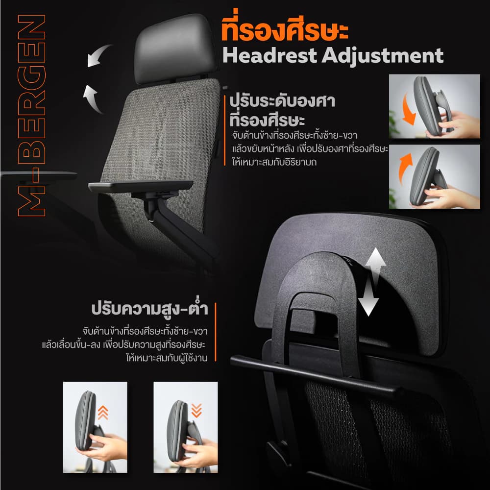 Ergotrend เก้าอี้เพื่อสุขภาพเออร์โกเทรน รุ่น M-Bergen เก้าอี้สีดำ เก้าอี้ทำงานเพื่อสุขภาพ นุ่มสบาย ตามหลักสรีระศาสตร์ ระบายอากาศดีเยี่ยม เก้าอี้เบาะ นุ่ม เกรดพรีเมี่ยม https://lnwchill.com