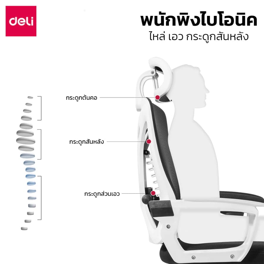 Deli เก้าอี้ทำงานเพื่อสุขภาพ Ergonomic เก้าอี้สีขาว เก้าอี้สีเทา เก้าอี้ทำงาน เก้าอี้สำนักงาน ที่นั่ง ออฟฟิศ มีหมอนรองเอวกระดูกงู ระบายอากาศดีเยี่ยม แป้นเหยียบแบบยืดหดได้ อุปกรณ์สำนักงาน Office Chair https://lnwchill.com