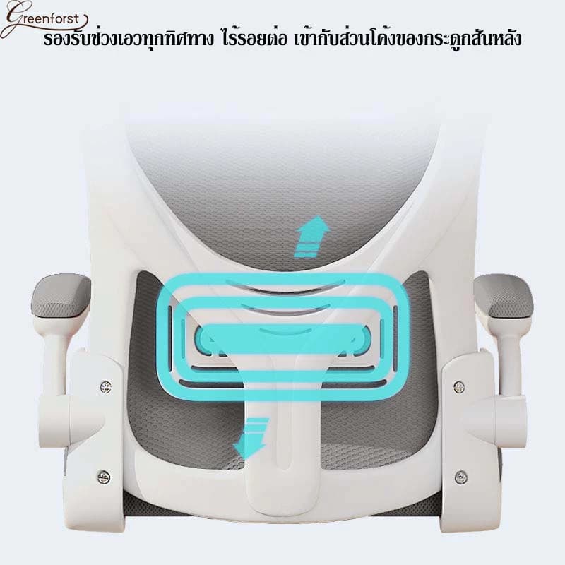 Greenforst เก้าอี้ออฟฟิศ เก้าอี้สำนักงานมีล้อเลื่อน ปรับระดับได้ พนักพิงผ้าตาข่าย นั่งสบาย รุ่น 2321/2322/2276 https://lnwchill.com