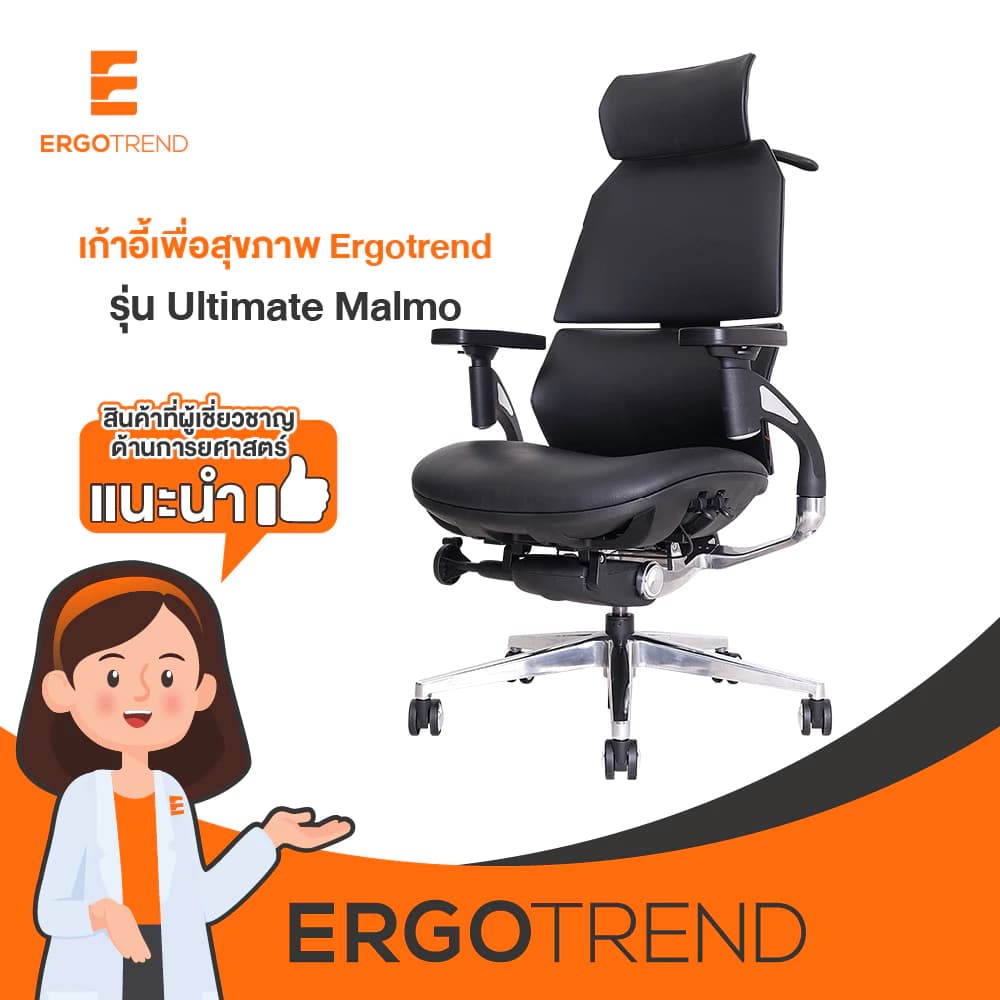 Ergotrend เก้าอี้เพื่อสุขภาพ เออร์โกเทรน รุ่น Ultimate Malmo เก้าอี้สีดำ ระบายอากาศดีเยี่ยม นุ่มสบาย ตามหลักสรีระศาสตร์ Ergonomic เก้าอี้พนักพิงสูง ลดอาการปวดเมื่อย เกรดคุณภาพ https://lnwchill.com