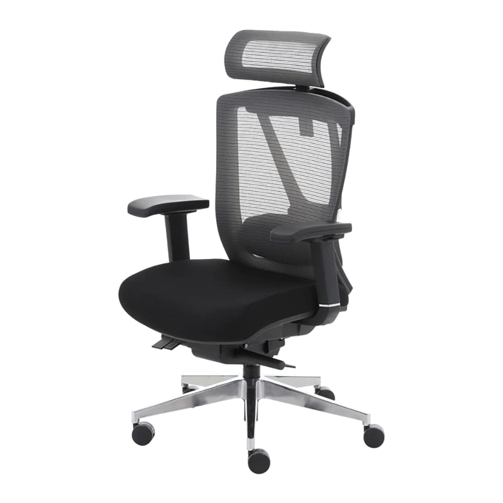 Ergotrend เก้าอี้เพื่อสุขภาพ เออร์โกเทรน รุ่น ERGO-X BLACK สีดำ เก้าอี้สีดำ ระบายอากาศดีเยี่ยม นุ่มสบาย ตามหลักสรีระศาสตร์ Ergonomic เก้าอี้พนักพิงสูง ลดอาการปวดเมื่อย เกรดคุณภาพ https://lnwchill.com