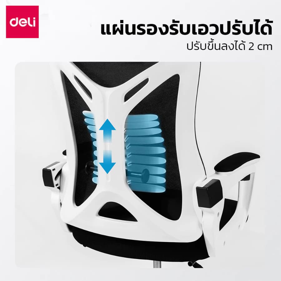 Deli เก้าอี้ทำงานเพื่อสุขภาพ Ergonomic เก้าอี้สีขาว เก้าอี้สีเทา เก้าอี้ทำงาน เก้าอี้สำนักงาน ที่นั่ง ออฟฟิศ มีหมอนรองเอวกระดูกงู ระบายอากาศดีเยี่ยม แป้นเหยียบแบบยืดหดได้ อุปกรณ์สำนักงาน Office Chair https://lnwchill.com