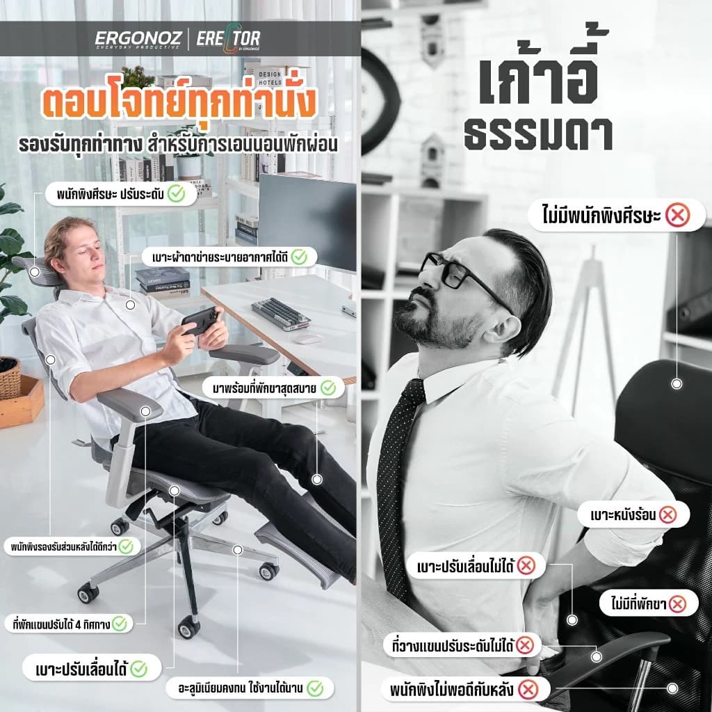 ERGONOZ รุ่น ERECTOR Professional เก้าอี้สีเทา เก้าอี้สีดำ Ergonomic chair เก้าอี้ทำงาน เก้าอี้คอมพิวเตอร์ เพื่อสุขภาพ รองรับน้ำหนักได้ 136 Kg. https://lnwchill.com