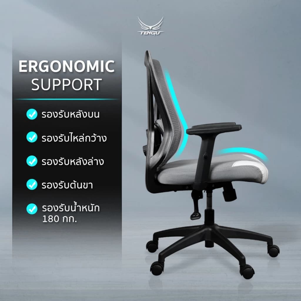 Tengu เก้าอี้เกมมิ่ง เก้าอี้สีดำ เก้าอี้สีขาว รุ่น AMANO เก้าอี้สุขภาพตามหลัก Ergonomics Gaming Chair มีรับประกัน https://lnwchill.com