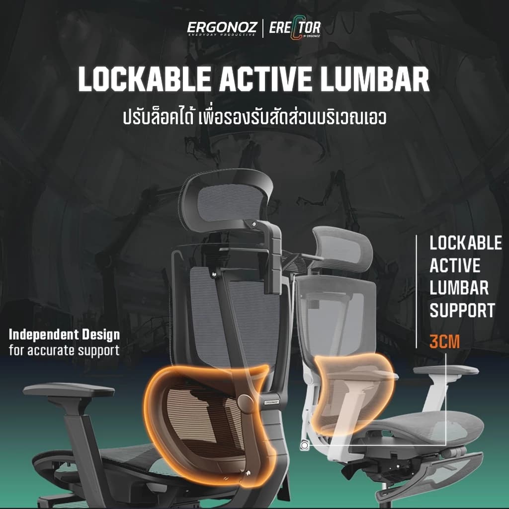 ERGONOZ รุ่น ERECTOR Professional เก้าอี้สีเทา เก้าอี้สีดำ Ergonomic chair เก้าอี้ทำงาน เก้าอี้คอมพิวเตอร์ เพื่อสุขภาพ รองรับน้ำหนักได้ 136 Kg. https://lnwchill.com