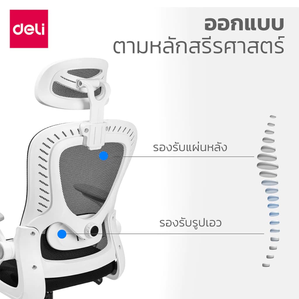 Deli เก้าอี้ทำงานเพื่อสุขภาพ นุ่มสบาย ตามหลักสรีระศาสตร์ Ergonomic เก้าอี้ออฟฟิศ เก้าอี้สำนักงาน ที่นั่งเพื่อสุขภาพ ที่นั่งทำงาน พนักพิงศรีษะ2D ลดการปวดเมื่อย Office Chair https://lnwchill.com