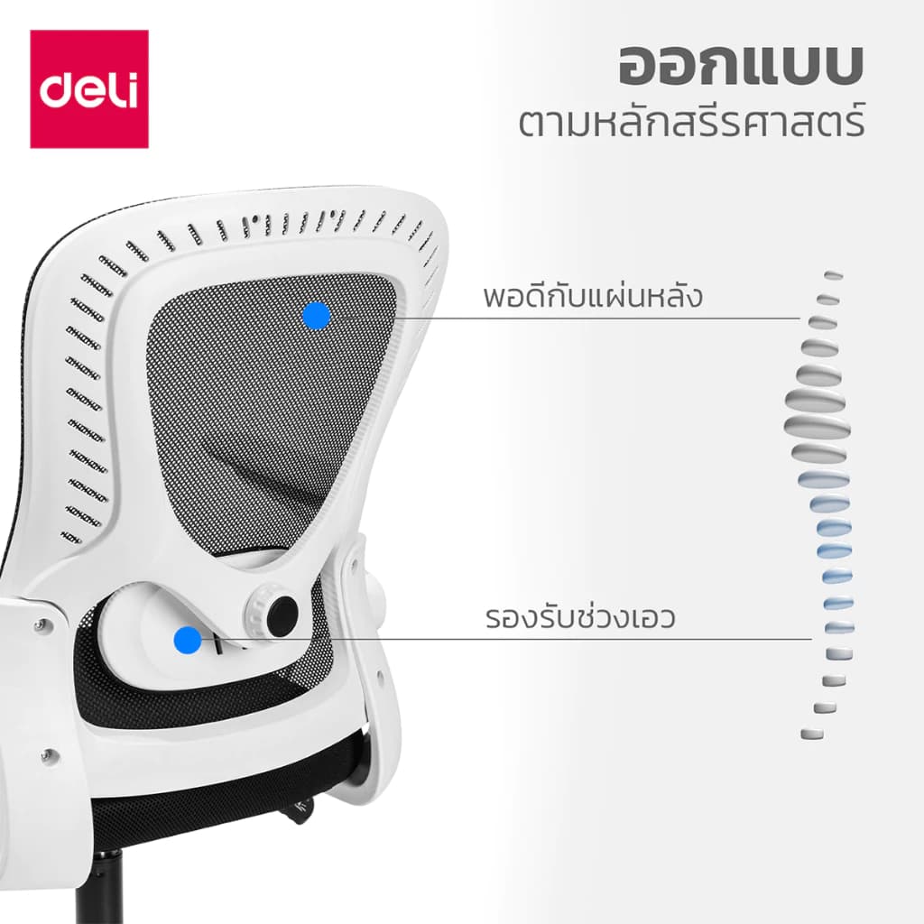 Deli เก้าอี้สำนักงาน เก้าอี้ออฟฟิศ ที่นั่งทำงาน เก้าอี้พนักพิงต่ำ เก้าอี้สีขาว เก้าอี้สีดำ ที่วางแขนพับได้ นั่งสบาย รับประกันคุณภาพ ระบายอากาศดีเยี่ยม อุปกรณ์สำนักงาน Office Chair https://lnwchill.com