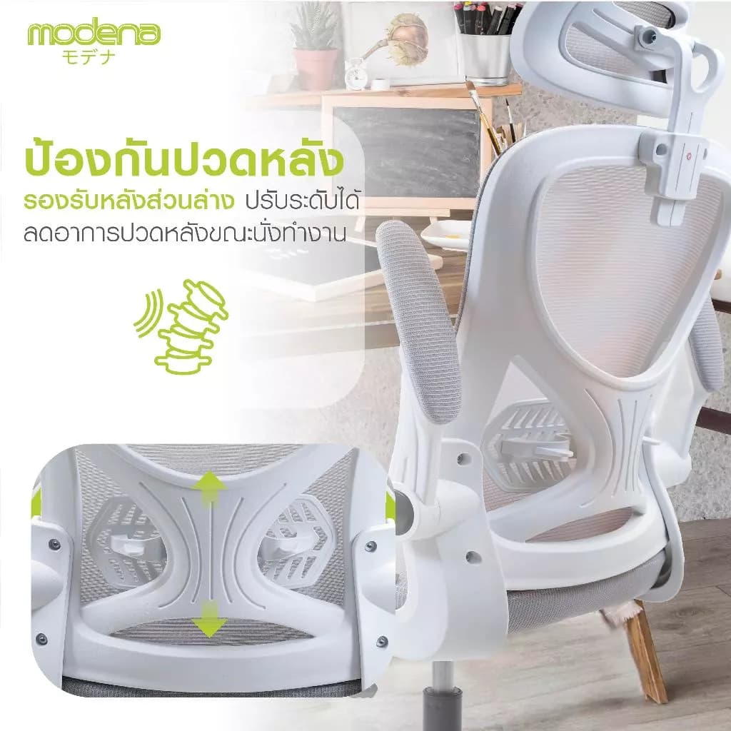 Modena Ally เก้าอี้เพื่อสุขภาพ เกรดคุณภาพ เก้าอี้สุขภาพ Ergonomic Chair ลดอาการปวดเมื่อย รองรับน้ำหนัก 100 kg. เก้าอี้ทำงาน เก้าอี้สำนักงาน https://lnwchill.com