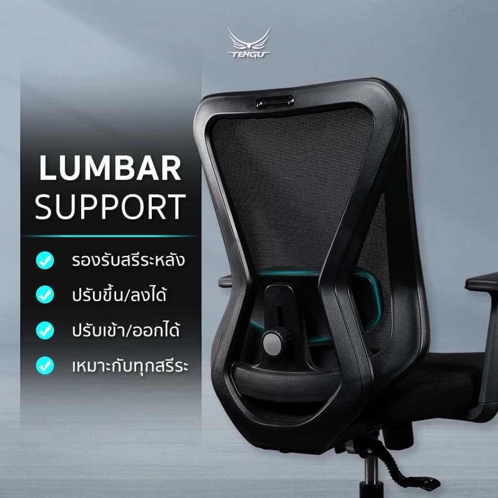 Tengu เก้าอี้เกมมิ่ง เก้าอี้สีดำ เก้าอี้สีขาว รุ่น AMANO เก้าอี้สุขภาพตามหลัก Ergonomics Gaming Chair มีรับประกัน https://lnwchill.com