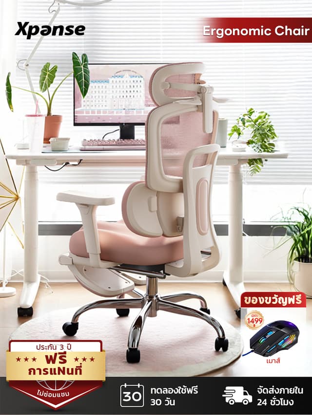 Xpanse รุ่น ergonomic chair ผ้าพันเอว 3 โซน เก้าอี้เพื่อสุขภาพดีไซน์หรู รองรับสรีระ บรรเทาอาการปวดหลังอย่างมีประสิทธิภาพ