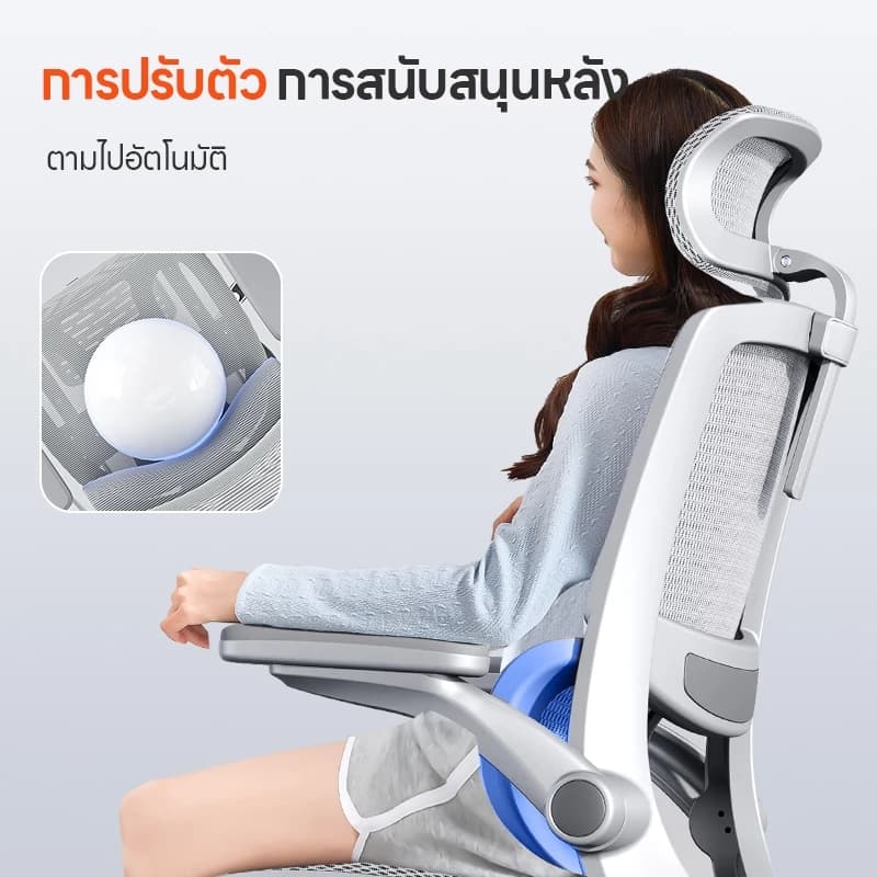 Xpanse รุ่น W202 เก้าอี้สุขภาพ Ergonomic รองรับเอวและปรับท่าทาง ฟังก์ชั่นครบครันเพื่อการทำงานที่สบายและมีประสิทธิภาพสูงสุด https://lnwchill.com