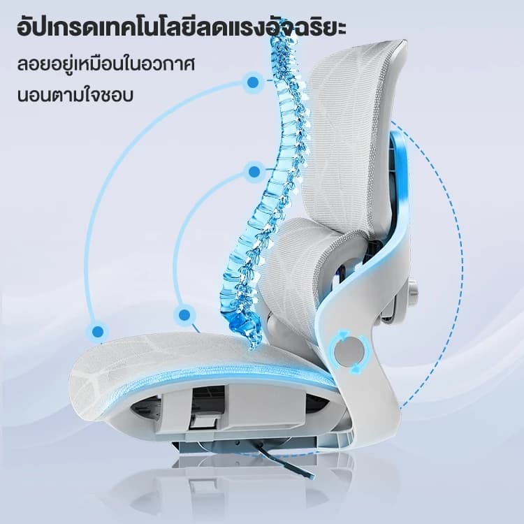 Kris E05 เก้าอี้เพื่อสุขภาพ เก้าอี้สีเทา ดีไซน์ตามหลักสรีรศาสตร์ Ergonomic ระบายอากาศดีเยี่ยม Ergonomic https://lnwchill.com