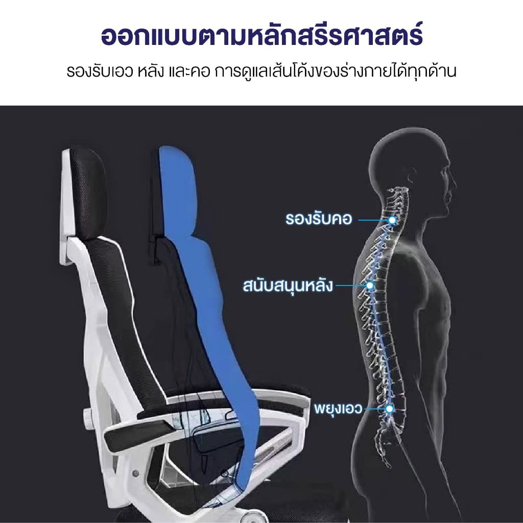 Elife เก้าอี้สุขภาพ รุ่น Ergonomic ปรับได้อิสระด้วยปุ่มกด มี 2 สี พร้อมที่วางเท้า เก้าอี้สำนักงานเพื่อสุขภาพ รองรับสรีระ ลดอาการปวดเมื่อย https://lnwchill.com