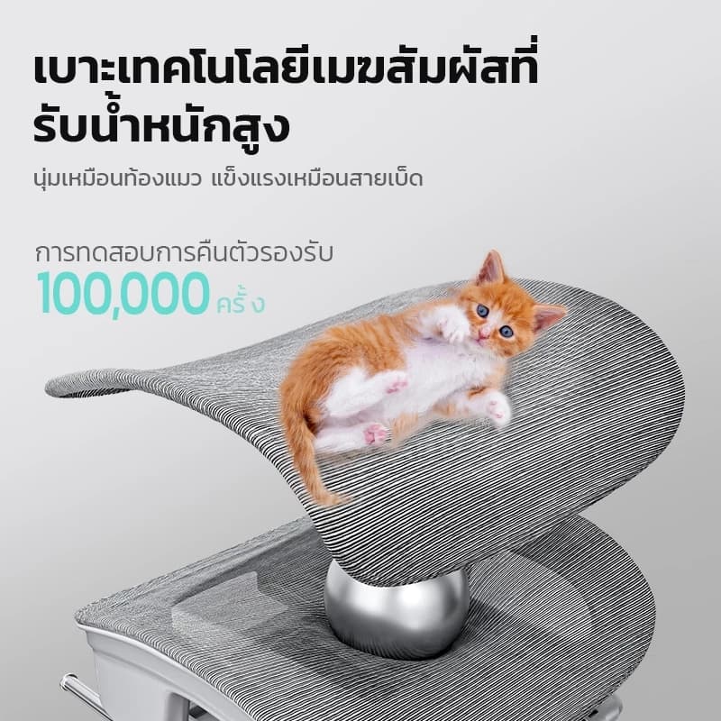 Xpanse รุ่น W202 เก้าอี้สุขภาพ Ergonomic Chair รองรับสรีระและเอวเพื่อการปรับท่าทางให้ถูกต้อง นั่งสบายตลอดวัน https://lnwchill.com