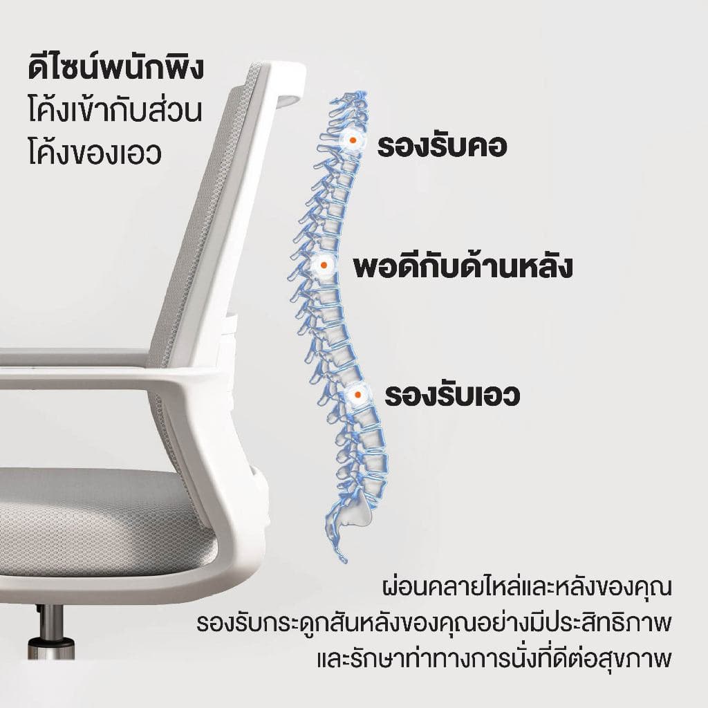 Elife รุ่นพนักพิงตาข่าย เก้าอี้ทำงานสำนักงาน เบาะกว้างนุ่ม ออกแบบโมเดิร์น ระบายอากาศได้ดี รองรับการนั่งทำงานนาน https://lnwchill.com