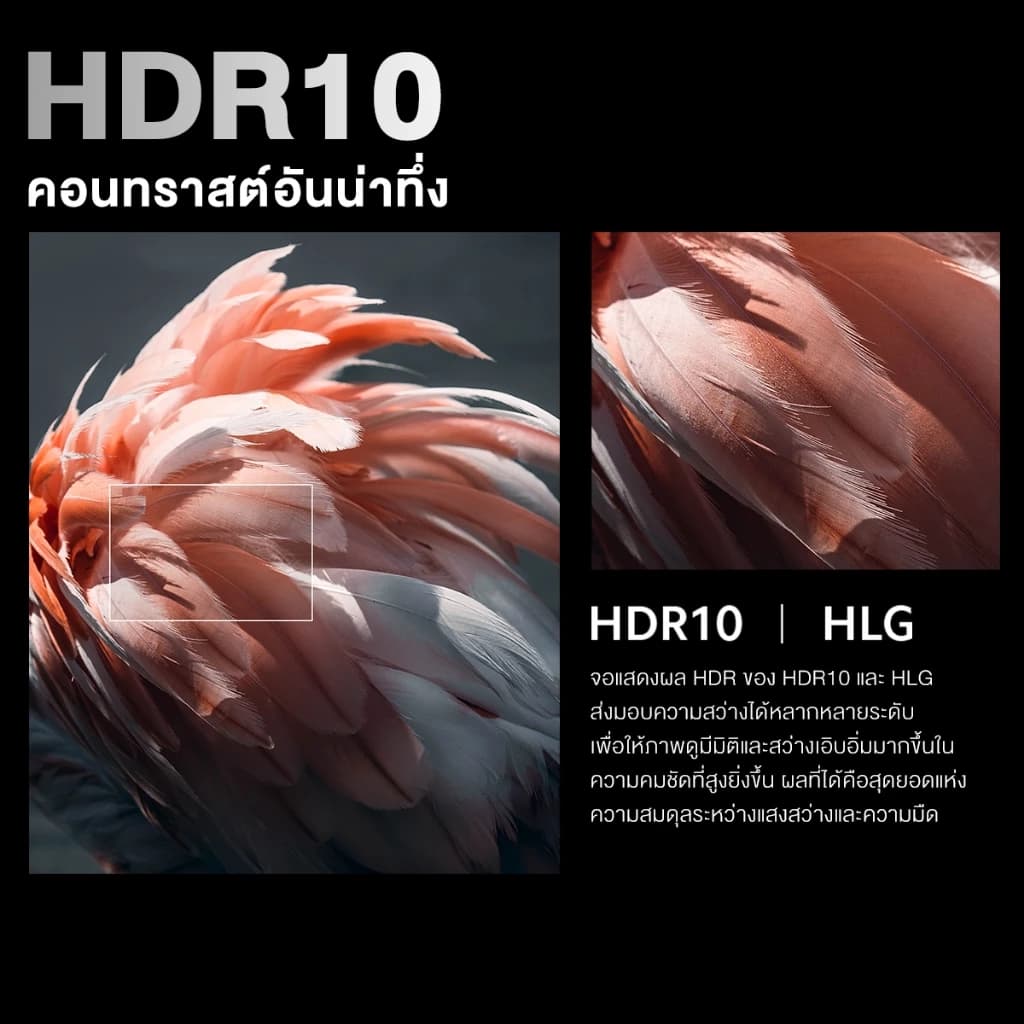 Expose ทีวี 32ราคาถูกๆ TV สมาร์ททีวี ทีวี 43 นิ้ว Google/Netflix &Youtube HDR10 Dolby Audio smart TV โทรทัศน์ WiFi https://lnwchill.com
