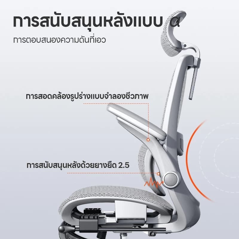 Xpanse รุ่น W202 เก้าอี้สุขภาพ Ergonomic รองรับเอวและปรับท่าทาง ฟังก์ชั่นครบครันเพื่อการทำงานที่สบายและมีประสิทธิภาพสูงสุด https://lnwchill.com