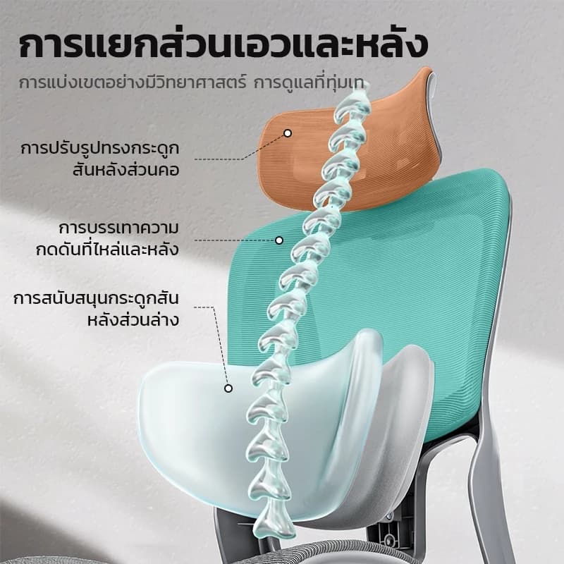 Xpanse รุ่น W202 เก้าอี้สุขภาพ Ergonomic Chair รองรับสรีระและเอวเพื่อการปรับท่าทางให้ถูกต้อง นั่งสบายตลอดวัน https://lnwchill.com