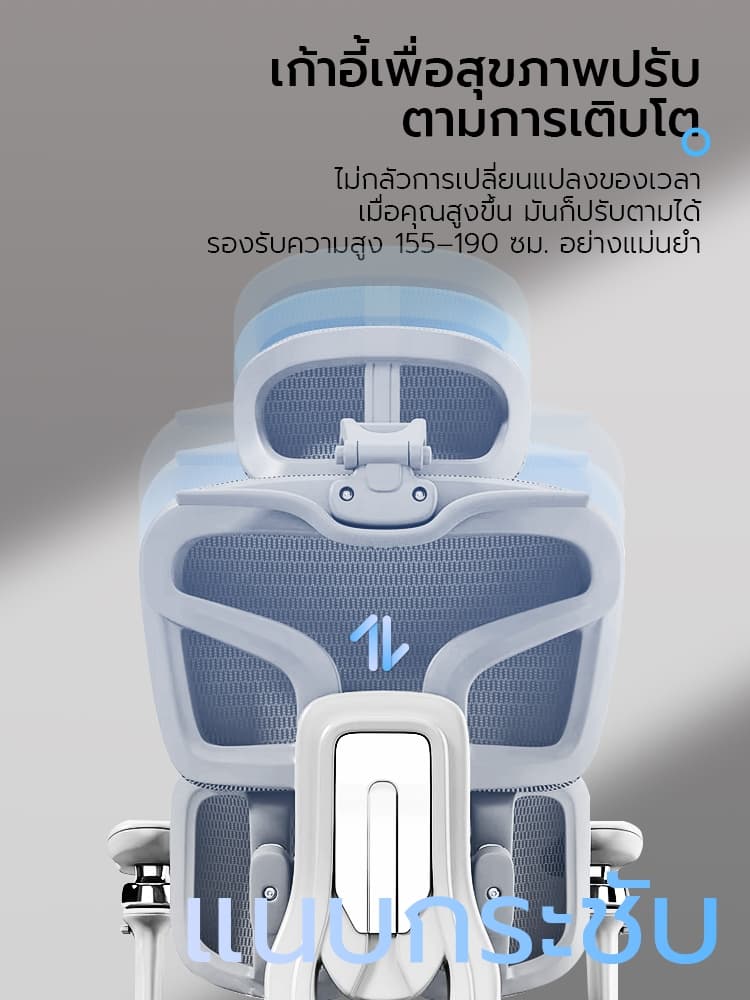 Xpanse รุ่น T9 เก้าอี้เพื่อสุขภาพ Ergonomic Chair รองรับเอวระบบสปริง ตาข่าย DuPont ระบายอากาศ ปรับระดับได้ครบวงจรเพื่อความสบายในการทำงานระยะยาว https://lnwchill.com