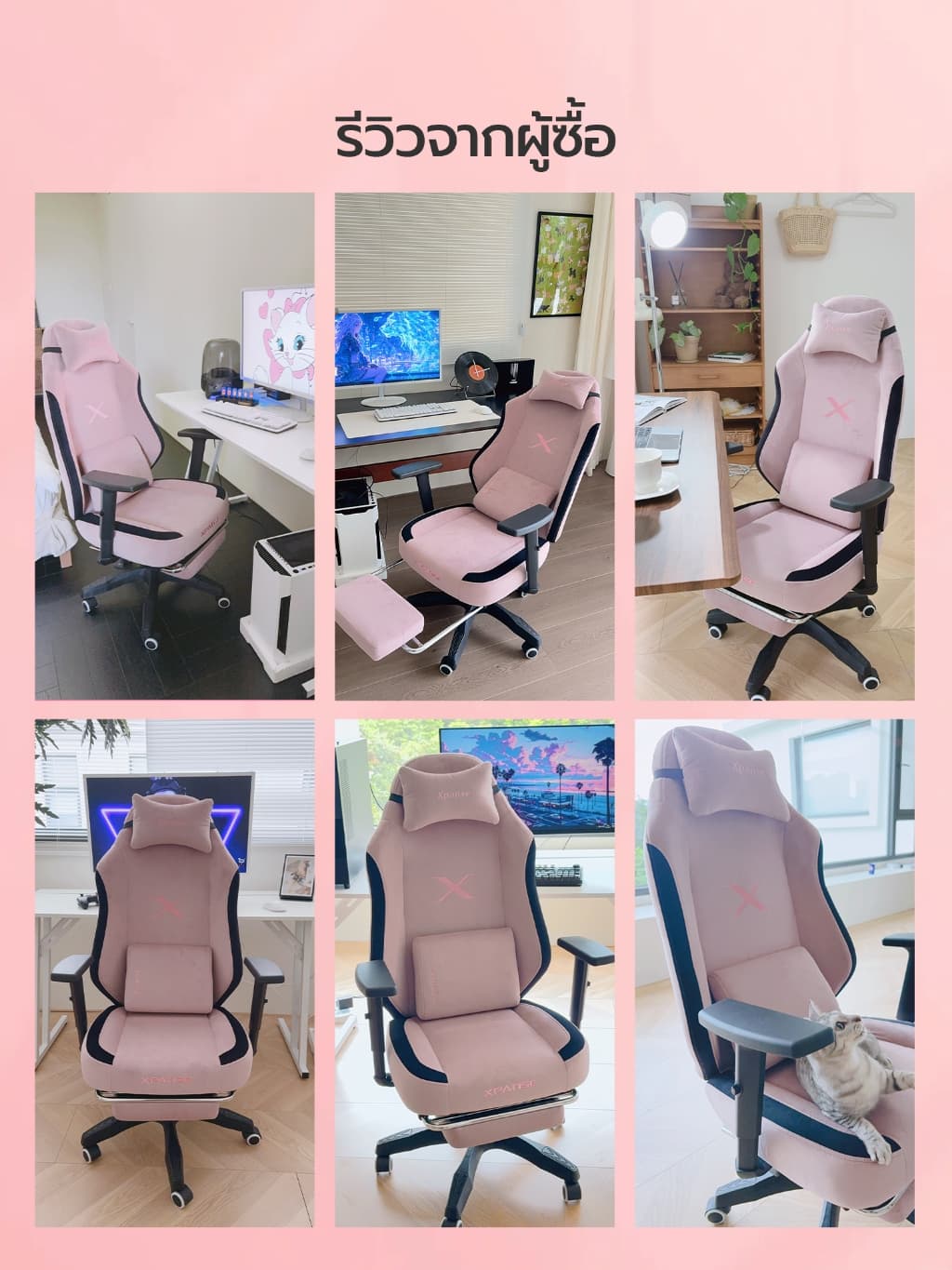 Xpanse รุ่น Xblade ผ้ากำมะหยี่พรีเมียมกันน้ำกันแมวข่วน เก้าอี้เกมมิ่งสรีรศาสตร์รองรับ 200 กก สัมผัสนุ่มนั่งสบายระบายอากาศดีสำหรับนั่งทำงานนาน https://lnwchill.com