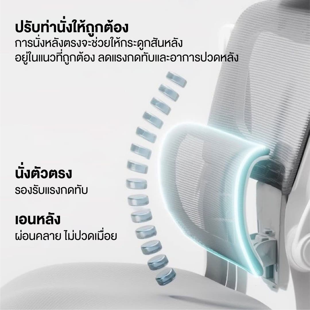Elife Ergonomic Chair เก้าอี้ทำงานเพื่อสุขภาพ ปรับเอนได้ตามหลักสรีรศาสตร์ รองรับสรีระ ลดอาการปวดเมื่อยได้อย่างดีเยี่ยม https://lnwchill.com