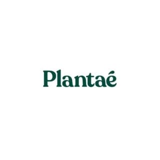 Plantae